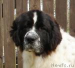 Превью фото № 5551