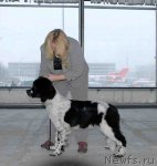 Превью фото № 55827