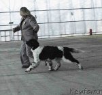 Превью фото № 55828