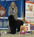 Превью фото № 55837