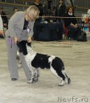 Превью фото № 55846