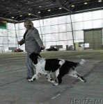 Превью фото № 55847