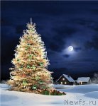 Превью фото № 55893