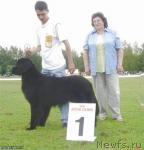 Превью фото № 5601