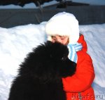 Превью фото № 56236