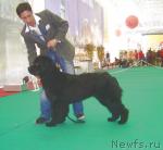 Превью фото № 5628