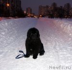 Превью фото № 56283