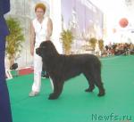 Превью фото № 5630