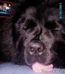 Превью фото № 56325