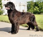 Превью фото № 5651