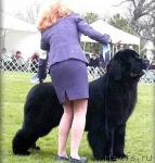 Превью фото № 5661