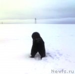 Превью фото № 56721