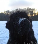 Превью фото № 57147