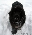 Превью фото № 57252