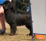 Превью фото № 574