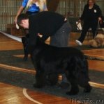 Превью фото № 57558