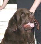 Превью фото № 57565