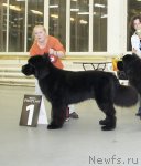 Превью фото № 57949