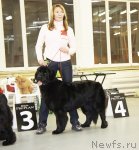 Превью фото № 57962