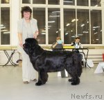 Превью фото № 57963