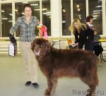 Превью фото № 57964