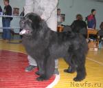 Превью фото № 5797