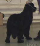 Превью фото № 57985