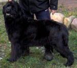 Превью фото № 58