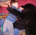 Превью фото № 58020