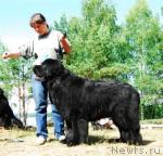 Превью фото № 5814