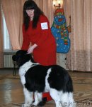 Превью фото № 58158