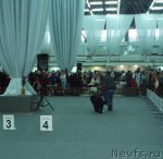 Превью фото № 58294