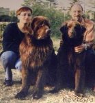 Превью фото № 58358