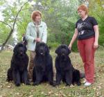 Превью фото № 5842