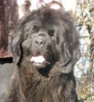 Превью фото № 58529