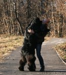 Превью фото № 58697