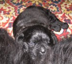 Превью фото № 58717