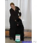 Превью фото № 58756