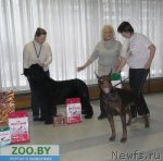 Превью фото № 58757