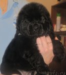 Превью фото № 58781