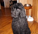 Превью фото № 58808