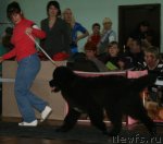 Превью фото № 58835