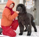 Превью фото № 58841