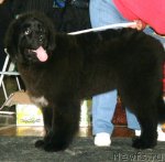 Превью фото № 58856