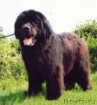 Превью фото № 5931