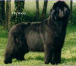 Превью фото № 5934