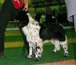 Превью фото № 59353