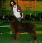 Превью фото № 59357