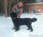 Превью фото № 60089