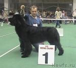 Превью фото № 601